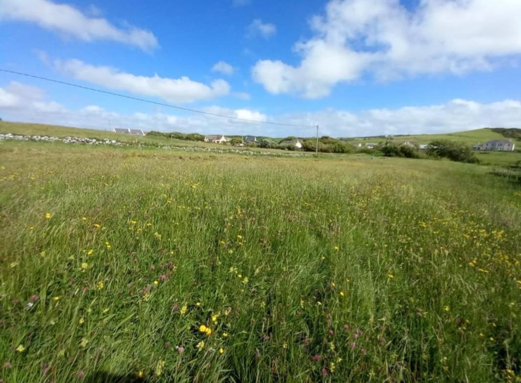 Wild Meadow Huts Villa Doolin Eksteriør billede