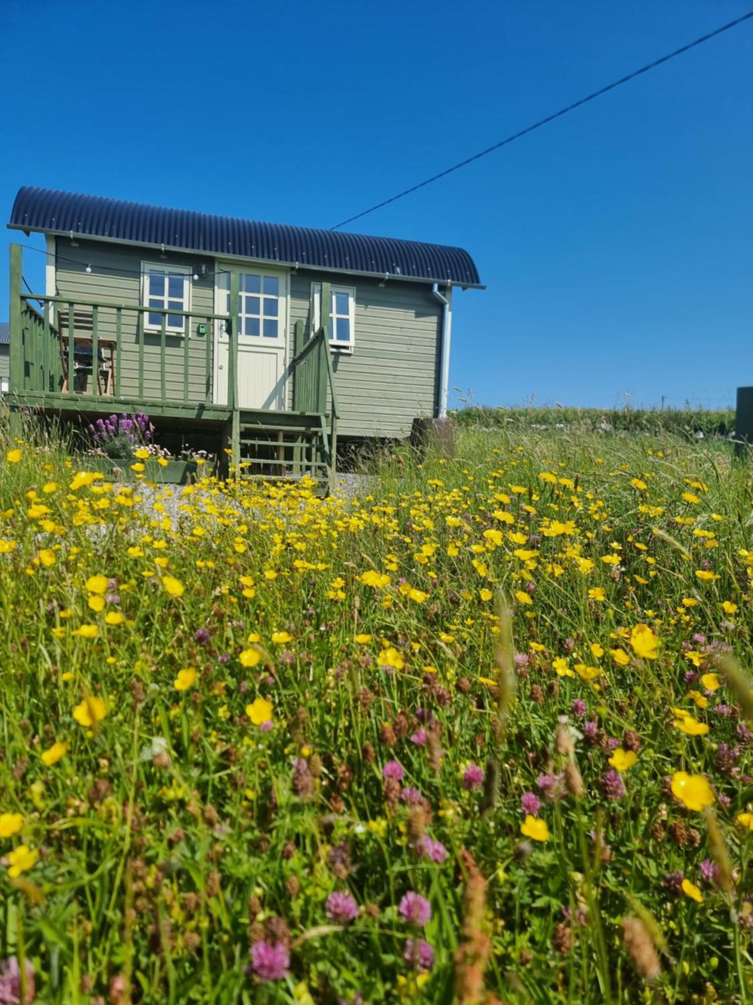 Wild Meadow Huts Villa Doolin Eksteriør billede