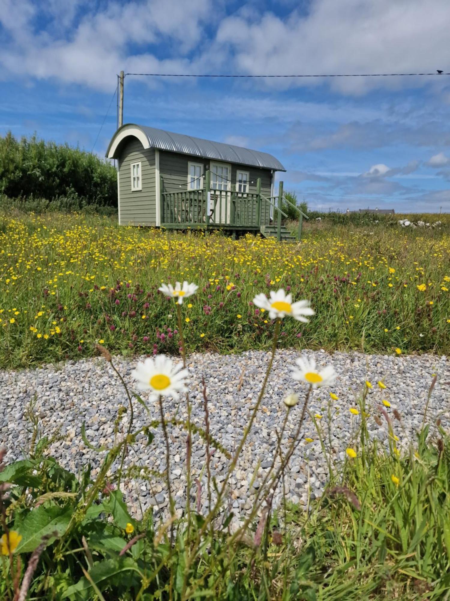 Wild Meadow Huts Villa Doolin Eksteriør billede