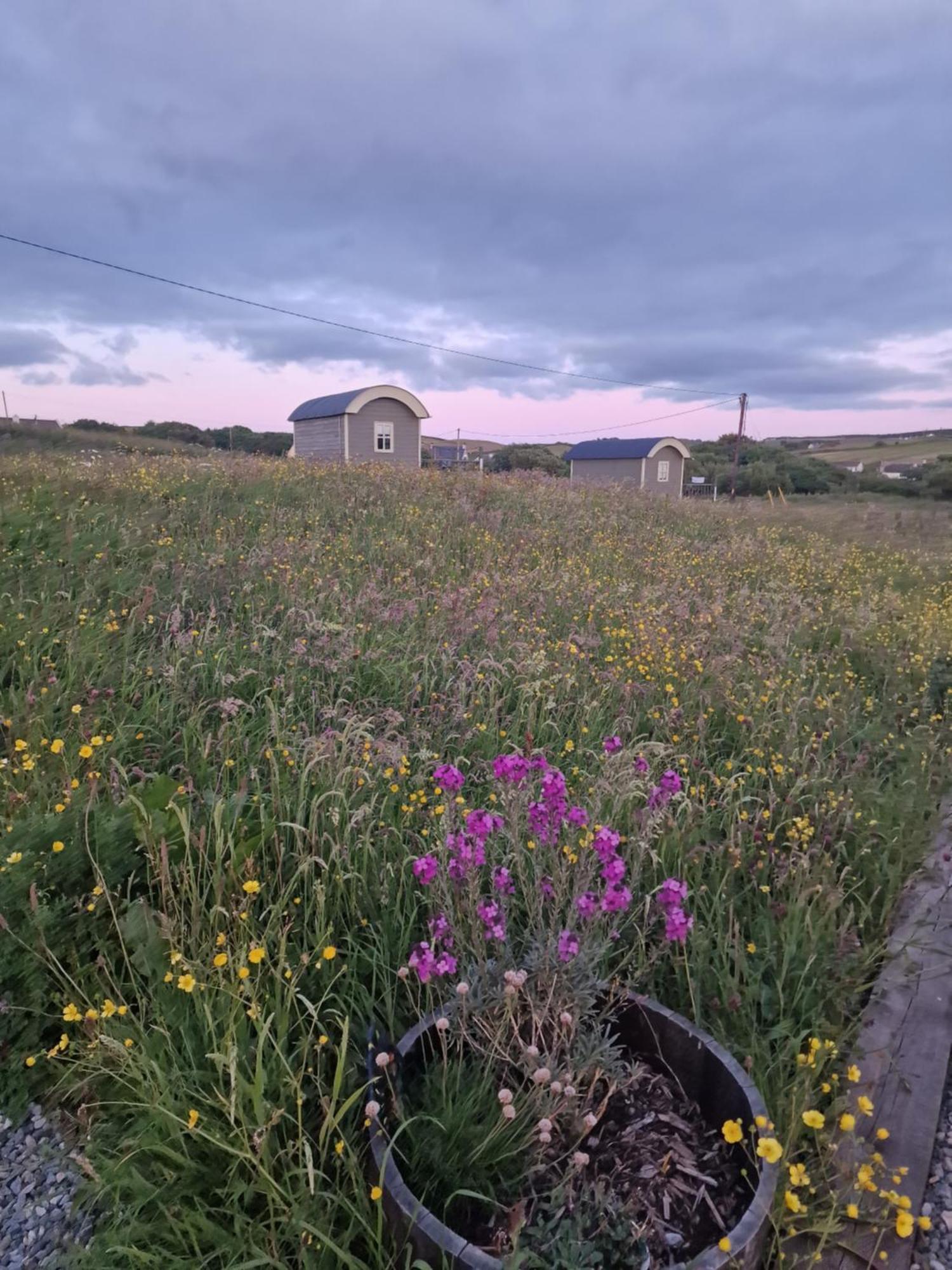 Wild Meadow Huts Villa Doolin Eksteriør billede