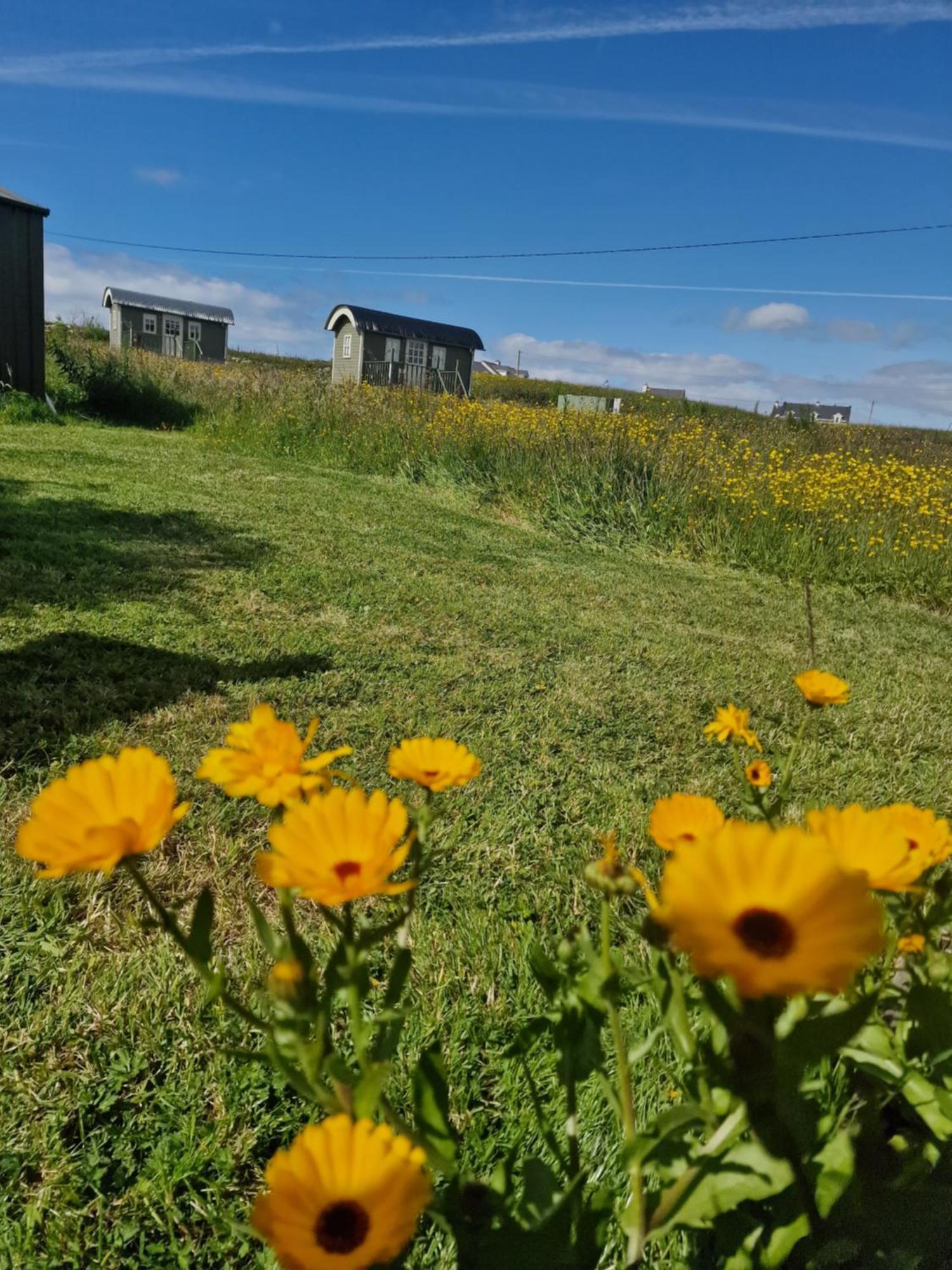 Wild Meadow Huts Villa Doolin Eksteriør billede