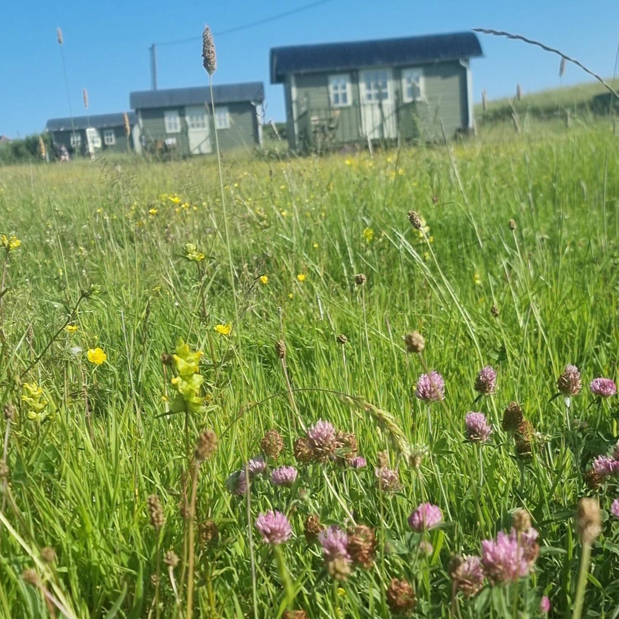 Wild Meadow Huts Villa Doolin Eksteriør billede